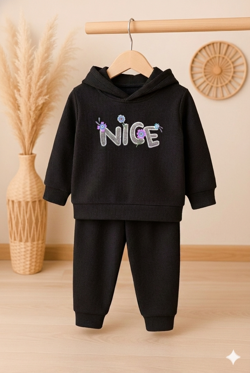 D547-Nice
