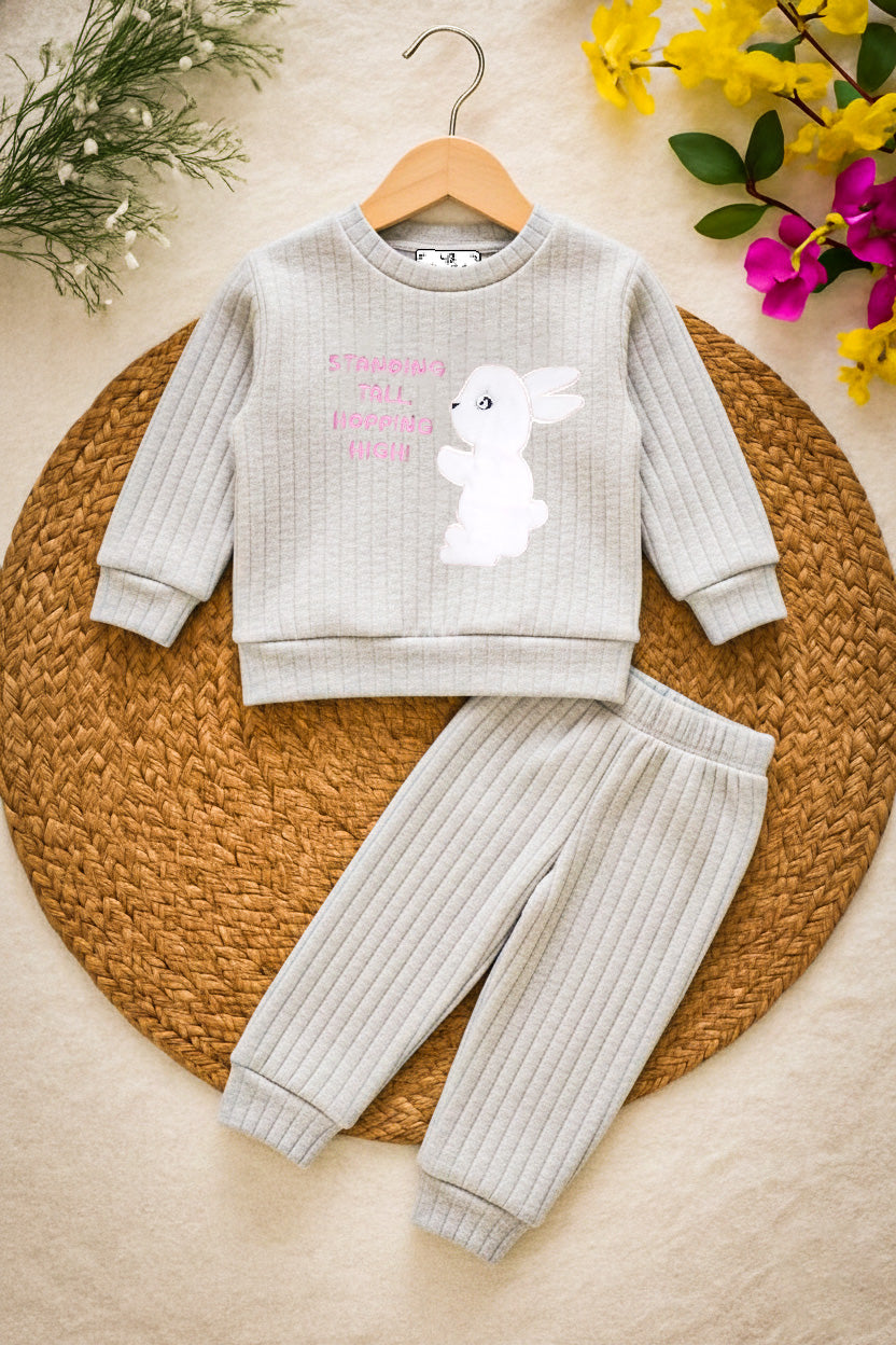 D671-Rabit