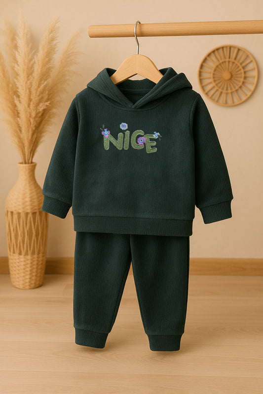 D547-Nice